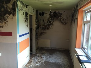 Mould Remediation in Macclesfield