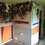 mold remediation in Congleton