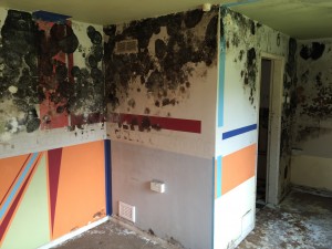 Mould Remediation in Macclesfield