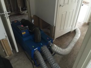 Flood Damage Specialist in Mold