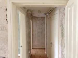 Mould Remediation in Heald Green 