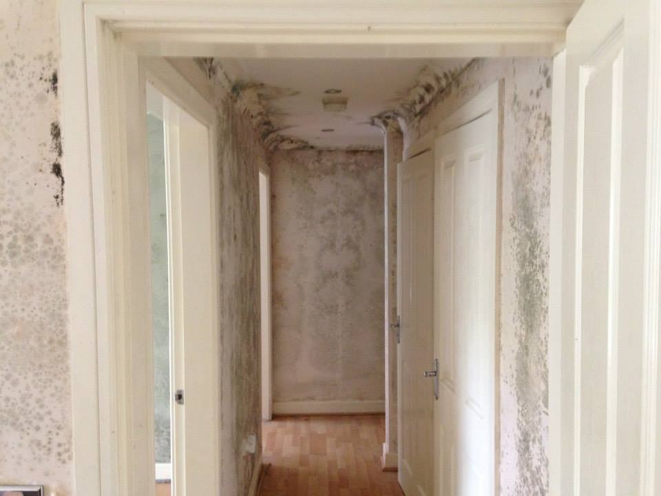 Mould Remediation in Heald Green