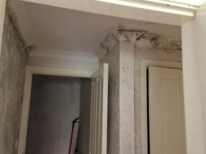 Mould Remediation in Woodford