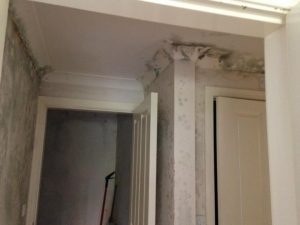 Mould Remediation in Holmes Chapel